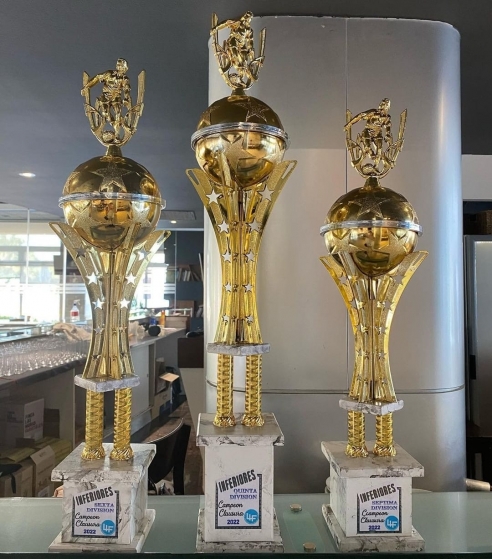 Independiente Cup: el torneo de fútbol infantil más importante de la  provincia, en Burzaco